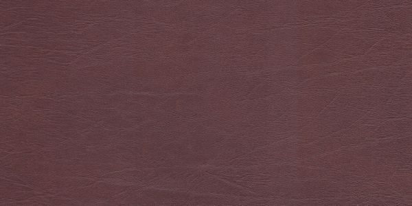 77011204_2.jpg