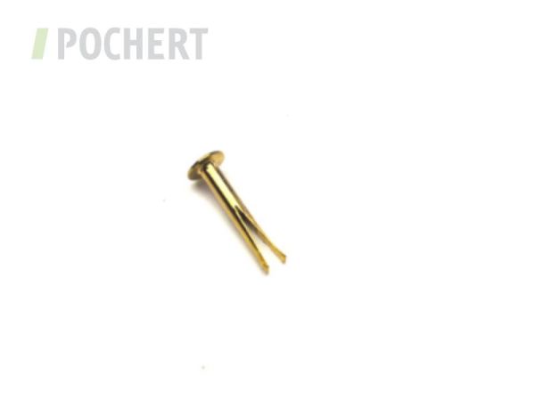 zweispitznietenScheibegold_28021502.jpg