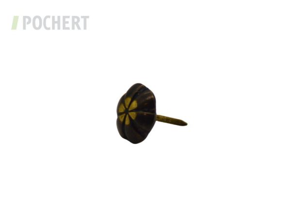 polsternaegelbronze_blume_28028275.jpg