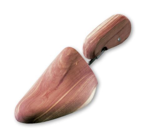 448_CEDAR.JPG