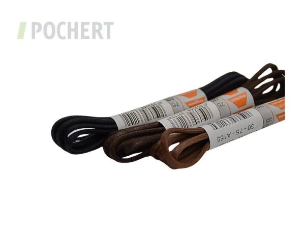 ringelspitzart_36luestriert_10103402.jpg