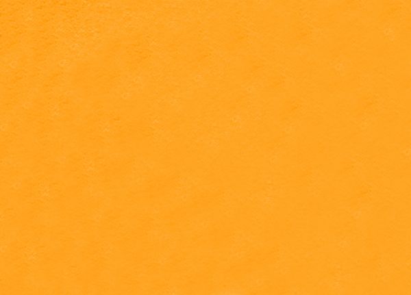 27003132.JPG