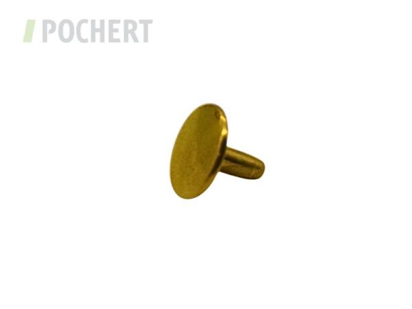doppelhohlnieten1210_gold_28020946.jpg