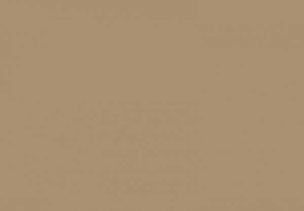 WALNUT.JPG