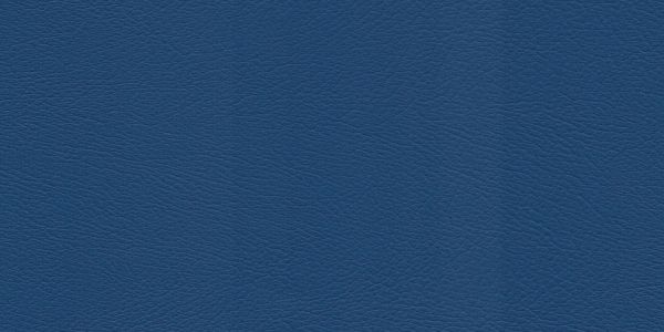 77021636_2.jpg