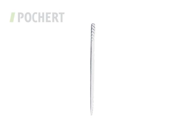 satterahlenschwertahlen_31303250.jpg