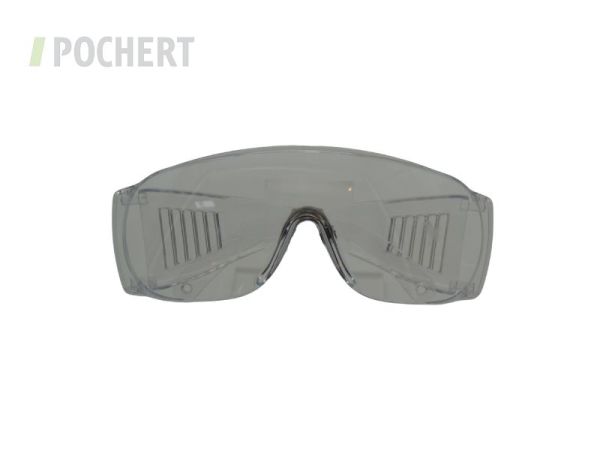 SCHUTZBRILLEBRILLENTRAEGER_27312301.JPG