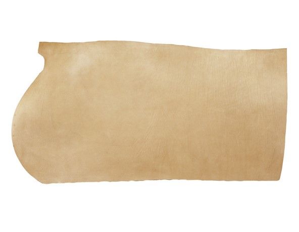 251003_.JPG